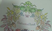 秘密花园动漫,探寻奇幻世界的奇幻之旅